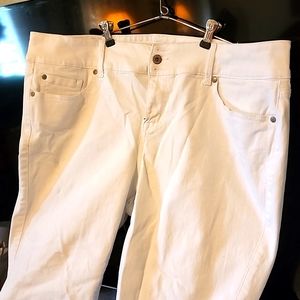 2 pair identical Torrid plus sz 24r